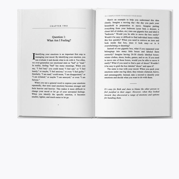 5 Simple Steps to Manage Your Mood sample pages